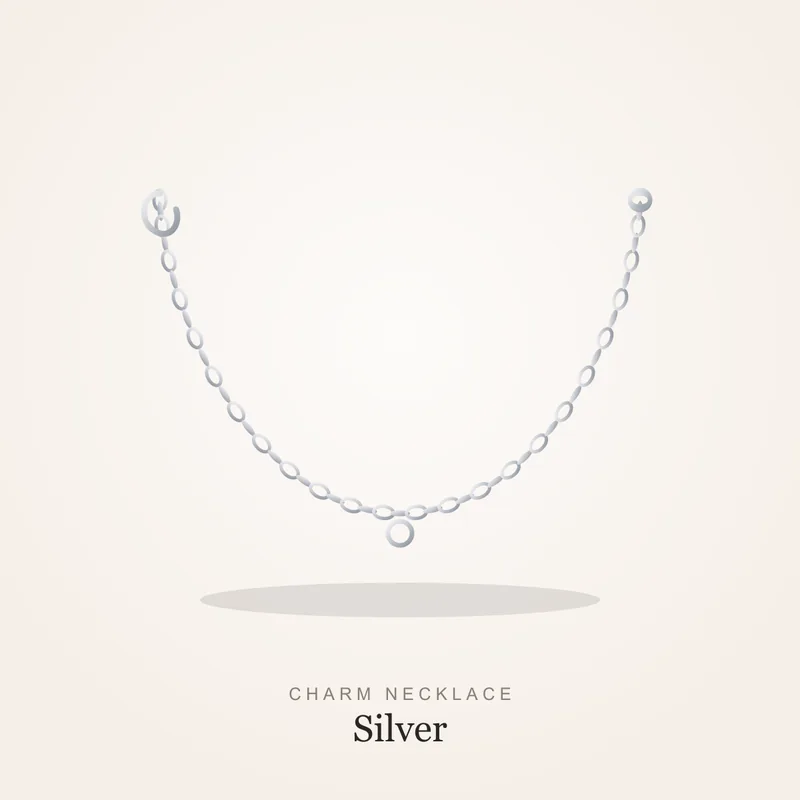 Silver charm necklace